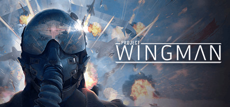 僚机计划Project Wingman