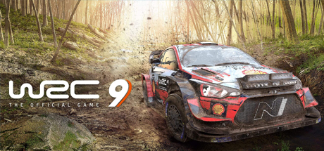 世界汽车拉力锦标赛9WRC 9 FIA World Rally Championship